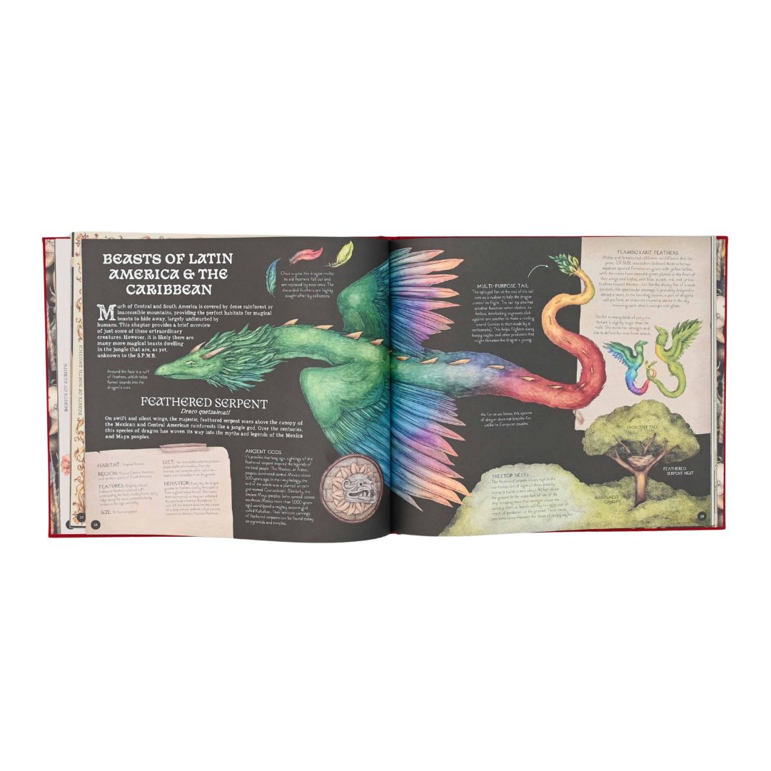 A Natural History of Magical Beasts