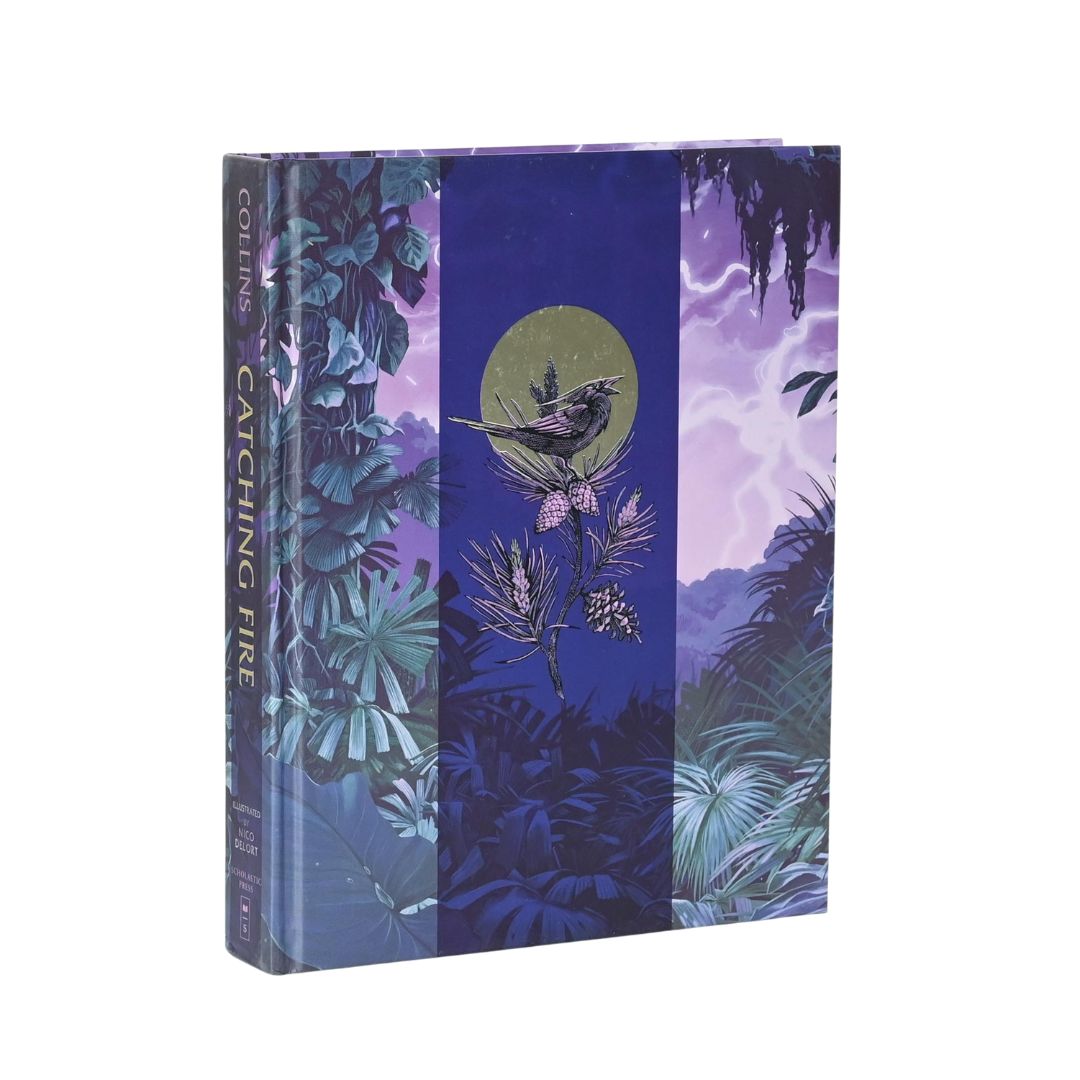 Catching Fire Illustrated Edition