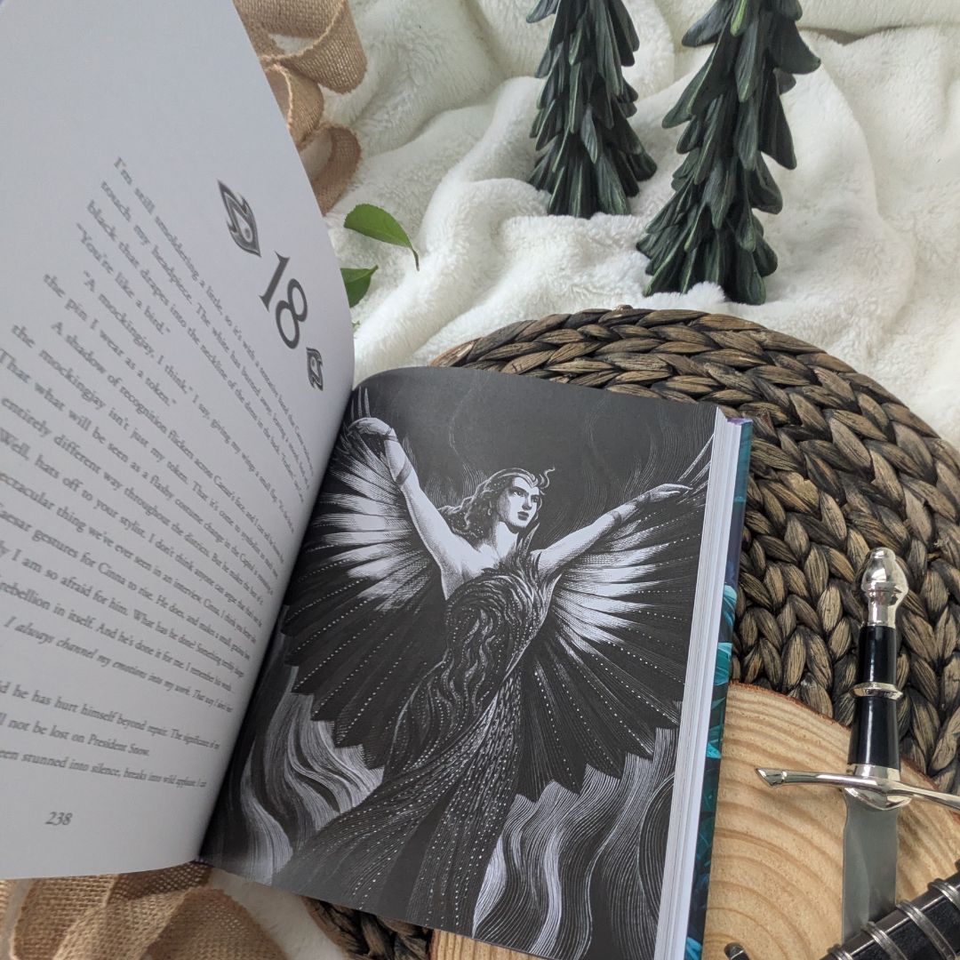 The Hunger Games Illustrated Book Set