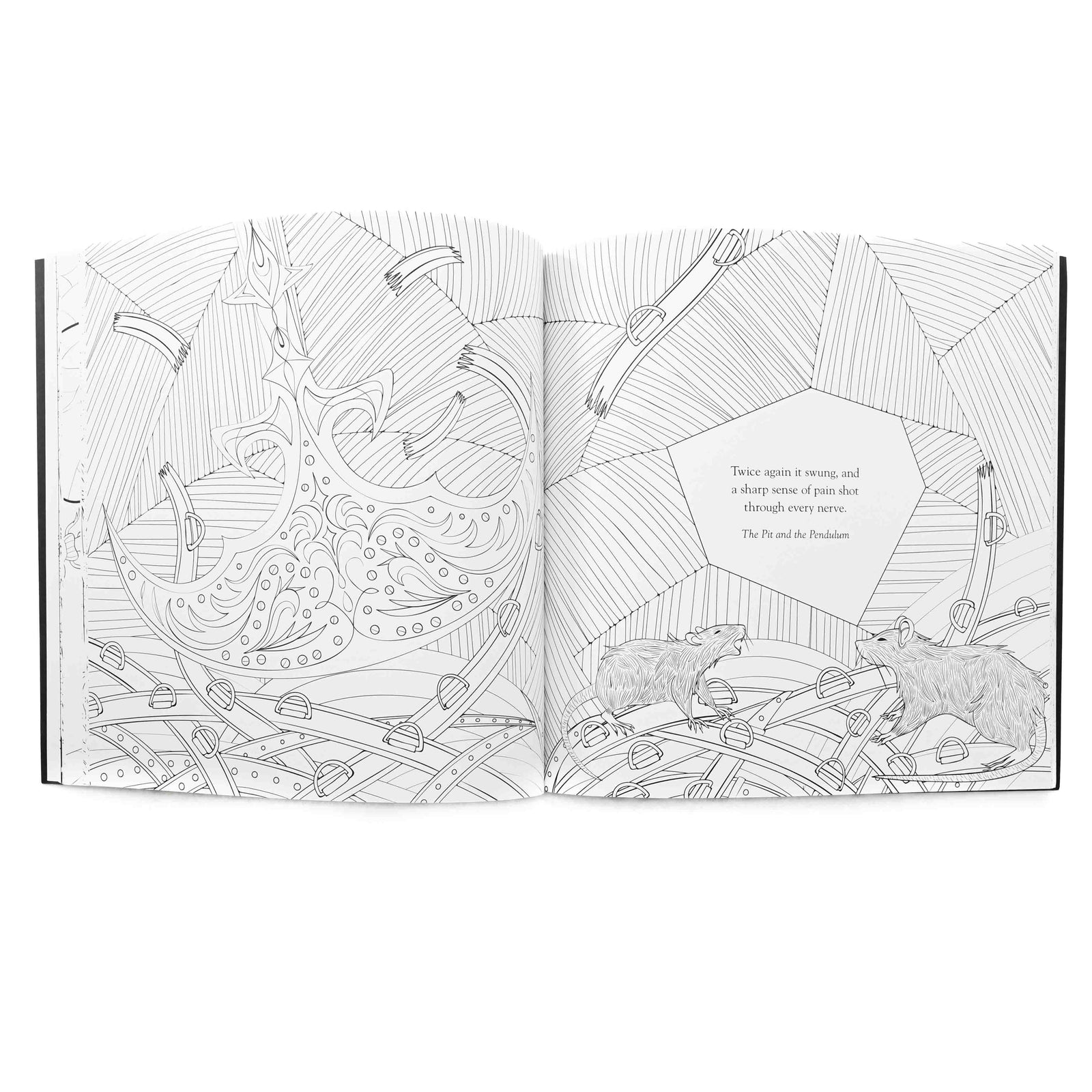Edgar Allan Poe Coloring Book