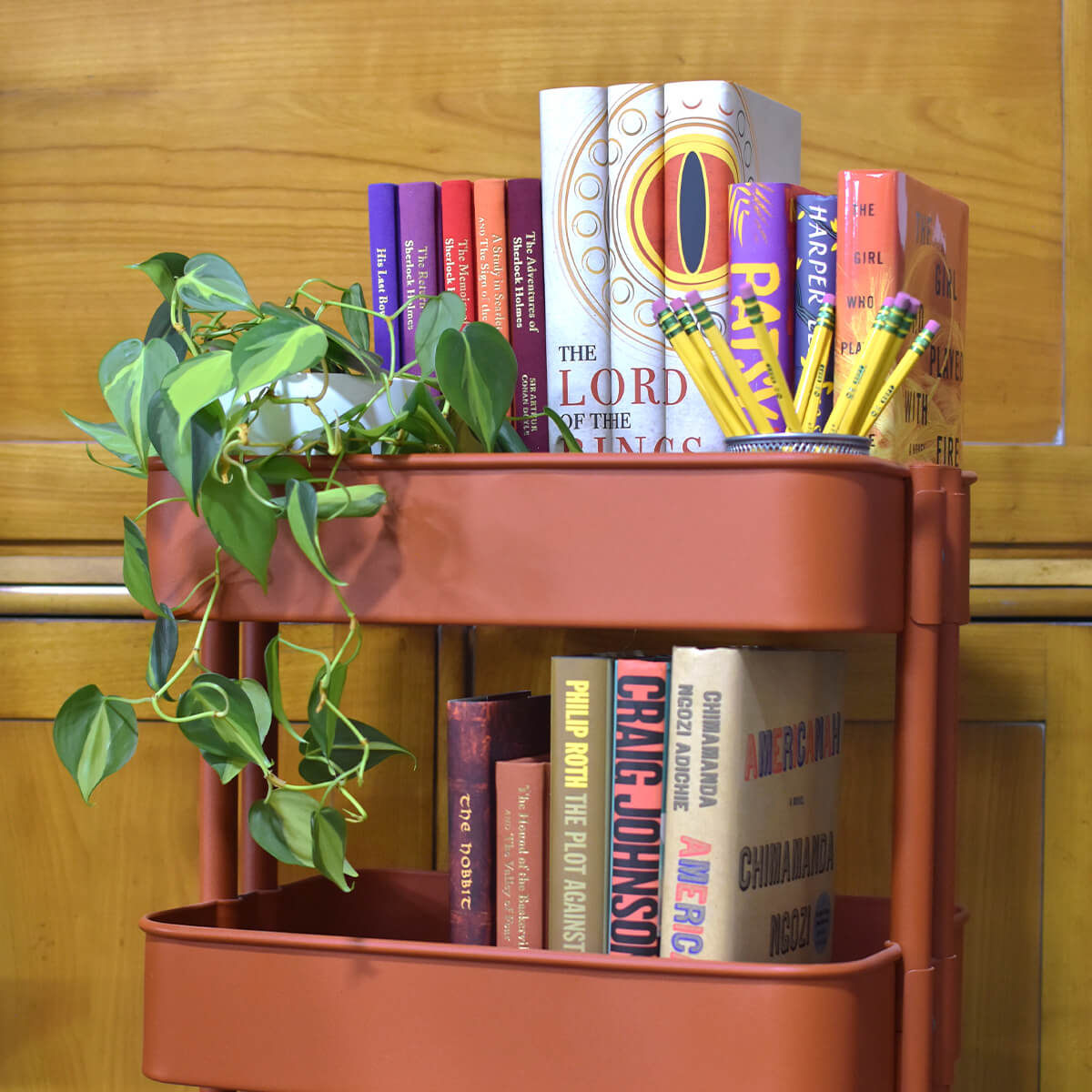 The Lord of the Rings Book Set