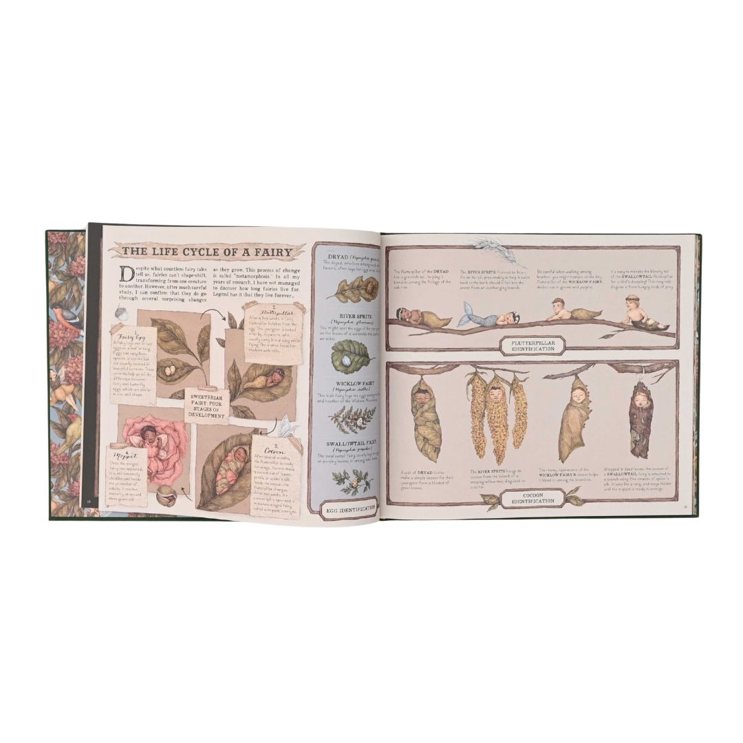 A Natural History of Fairies