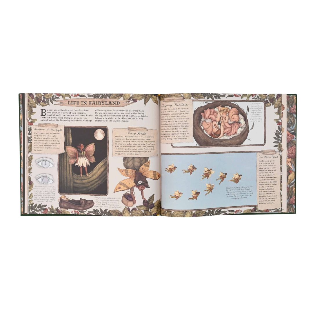 A Natural History of Fairies