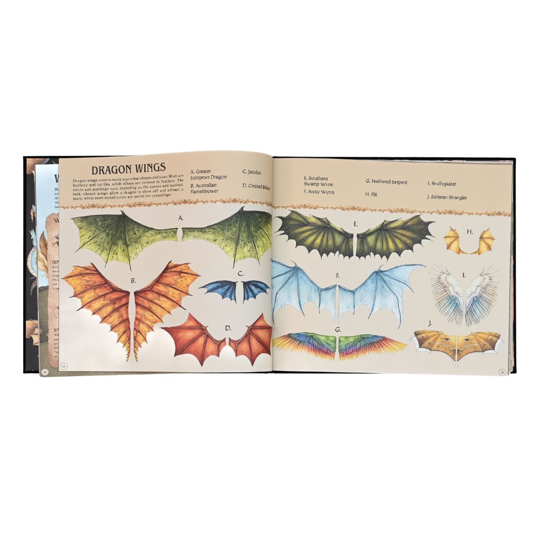 A Natural History of Dragons