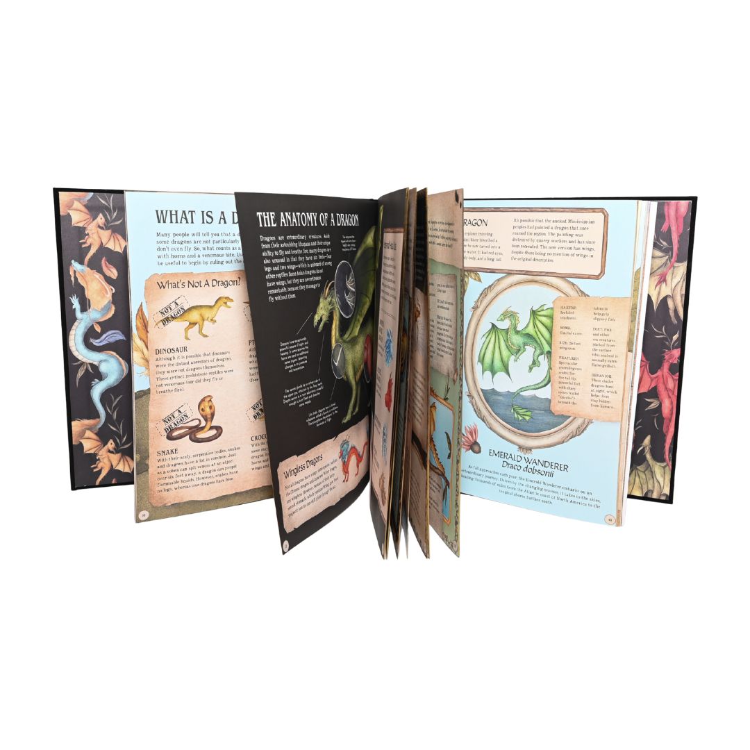 A Natural History of Dragons