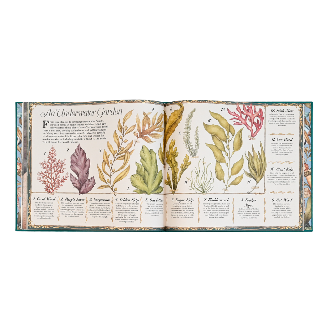 A Natural History of Mermaids