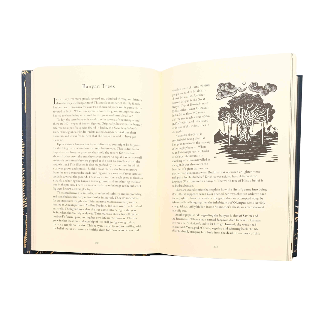 Treasury of Folklore: Waterlands and Starry Skies