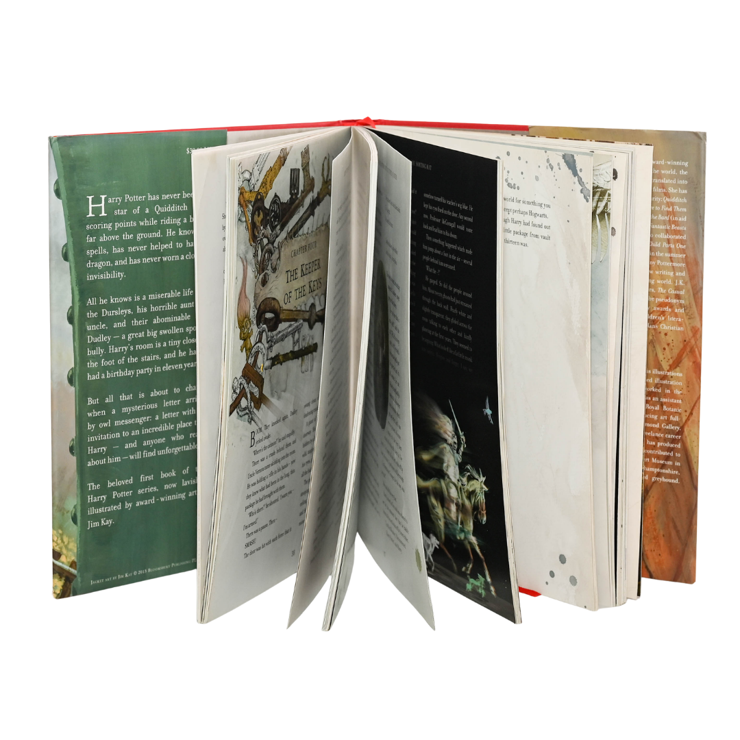 Harry Potter and the Sorcerer's Stone (The Illustrated Edition)