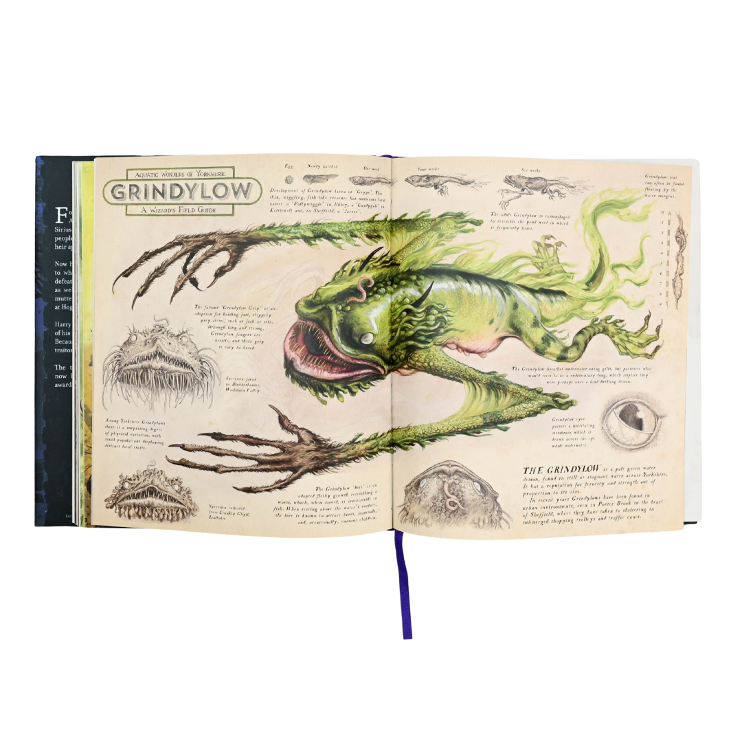 Harry Potter and the Prisoner of Azkaban (The Illustrated Edition)