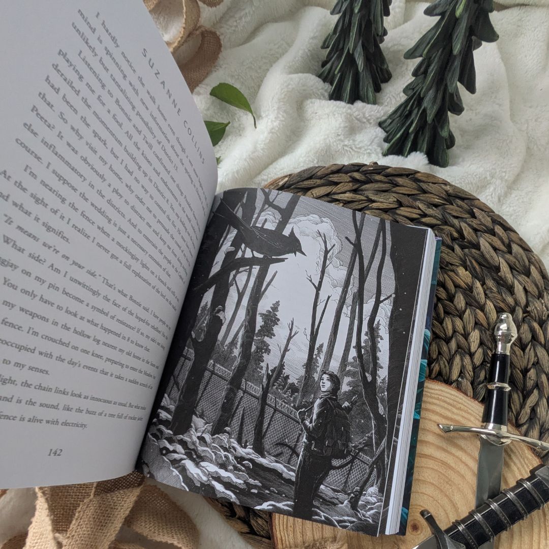 The Hunger Games Illustrated Book Set