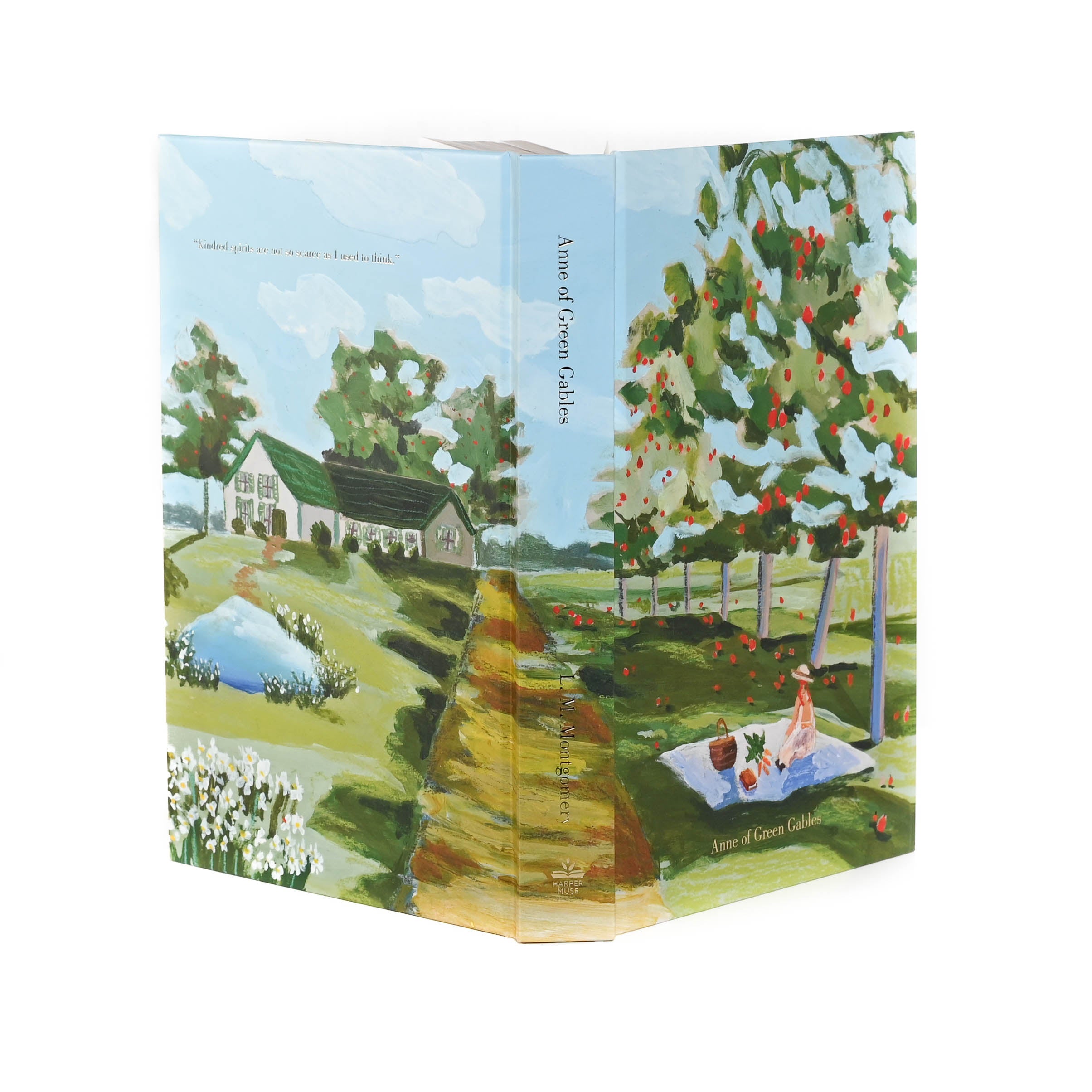 Anne of Green Gables - Painted Edition | 9781400336166 - Storiarts