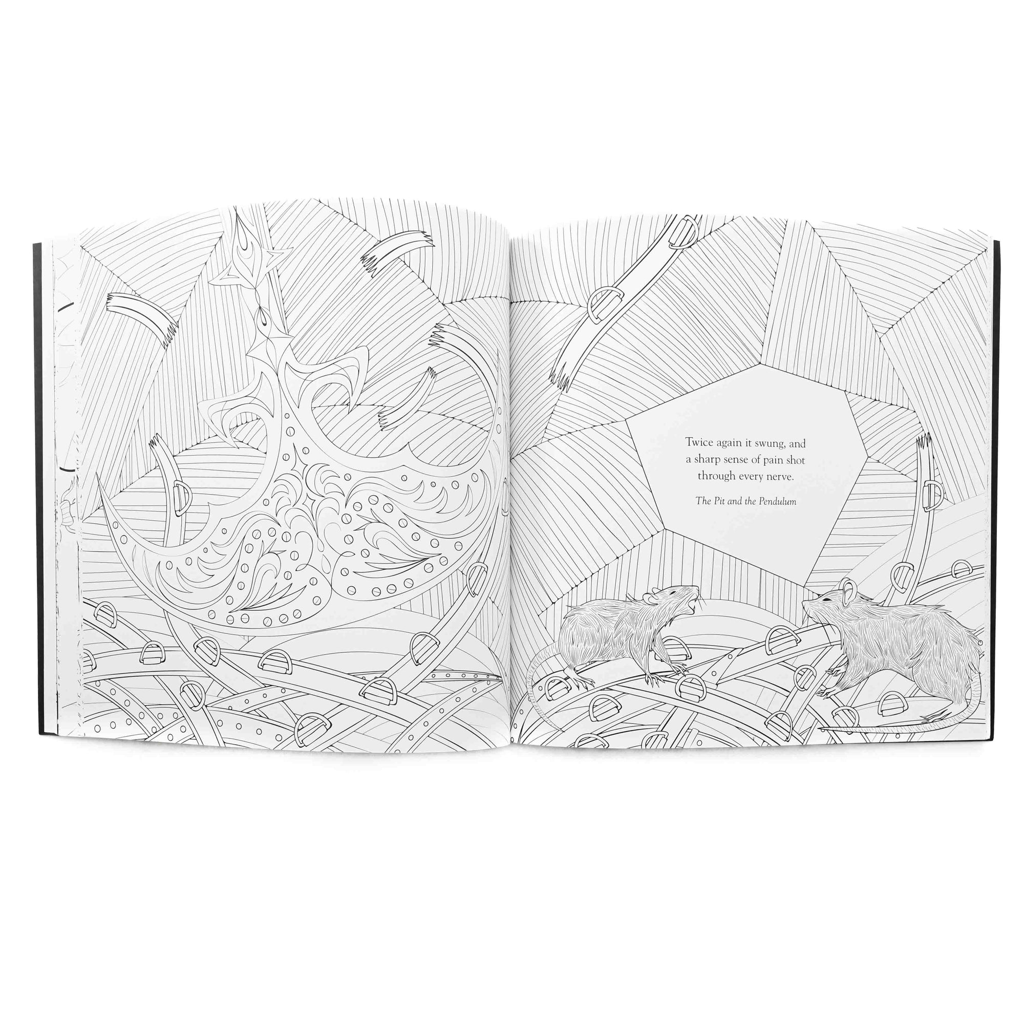 Edgar Allan Poe Coloring Book