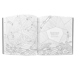 Edgar Allan Poe Coloring Book