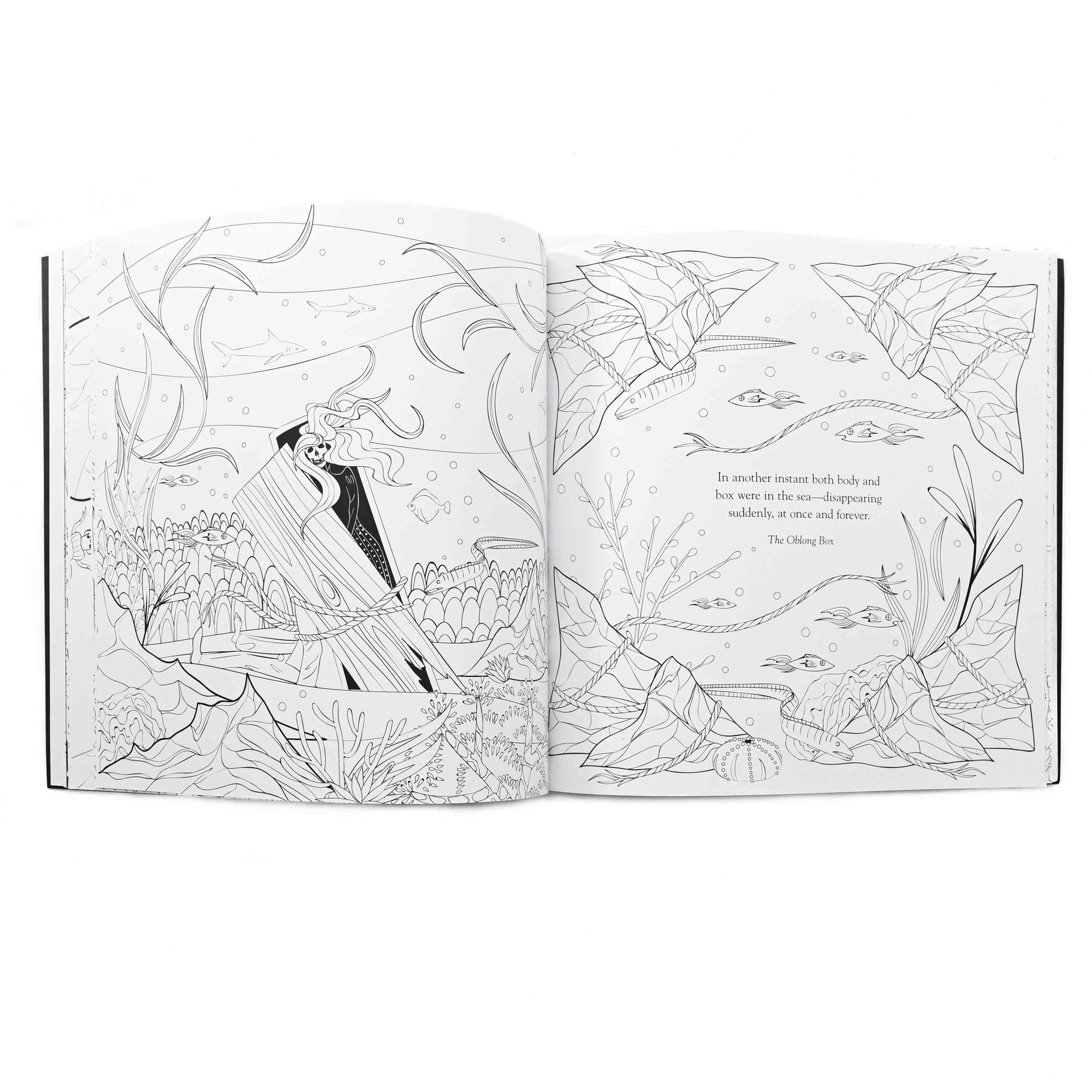 Edgar Allan Poe Coloring Book