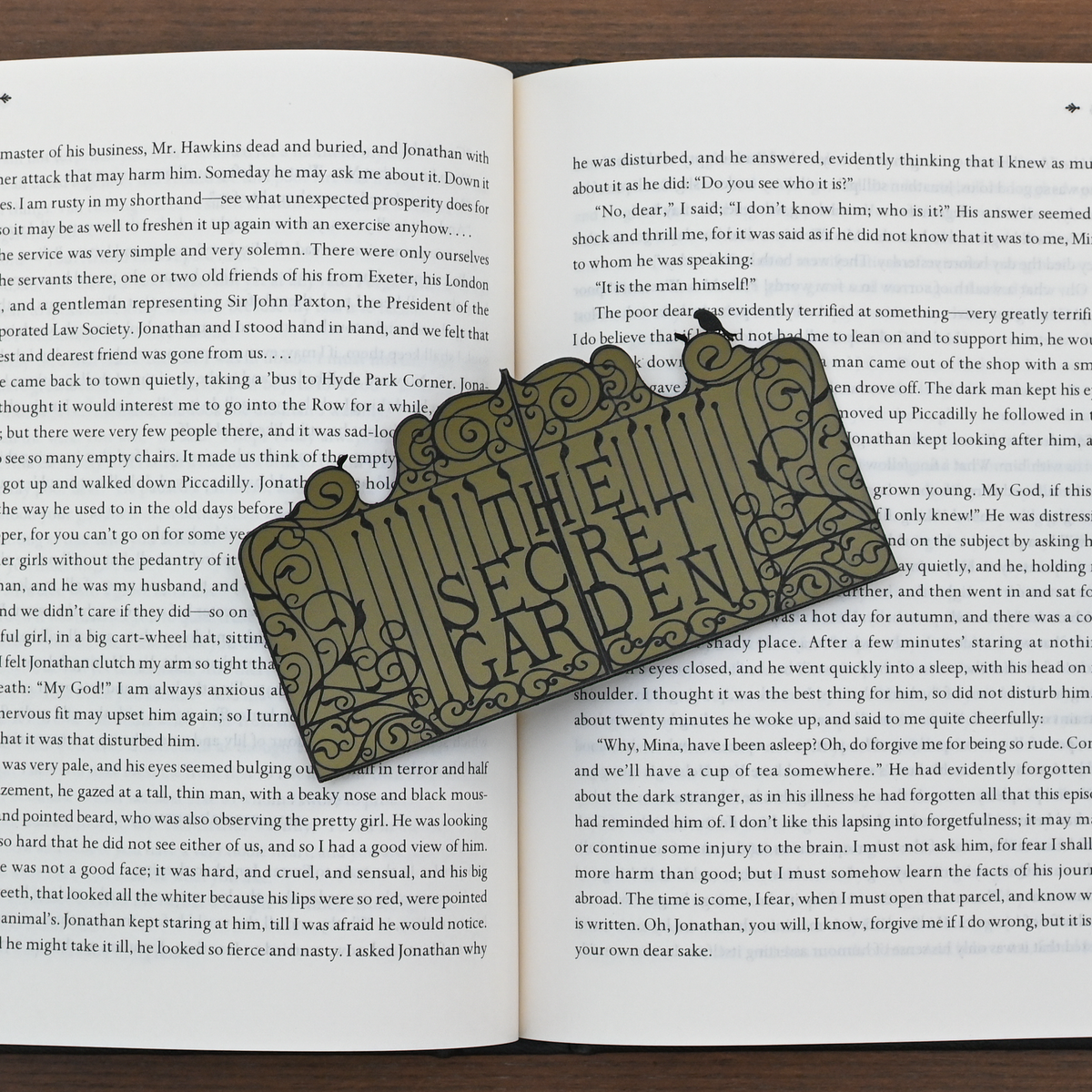 The Secret Garden Graphic Bookmark
