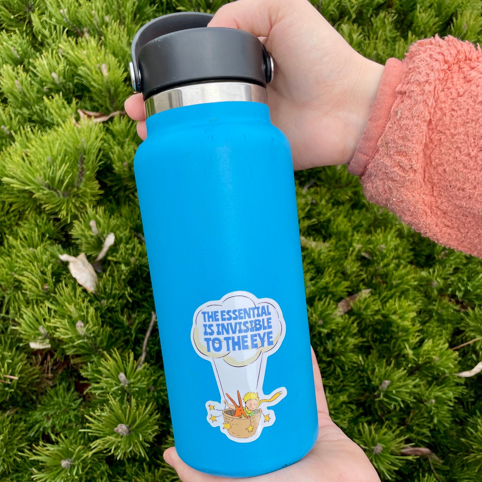 The Little Prince Sticker