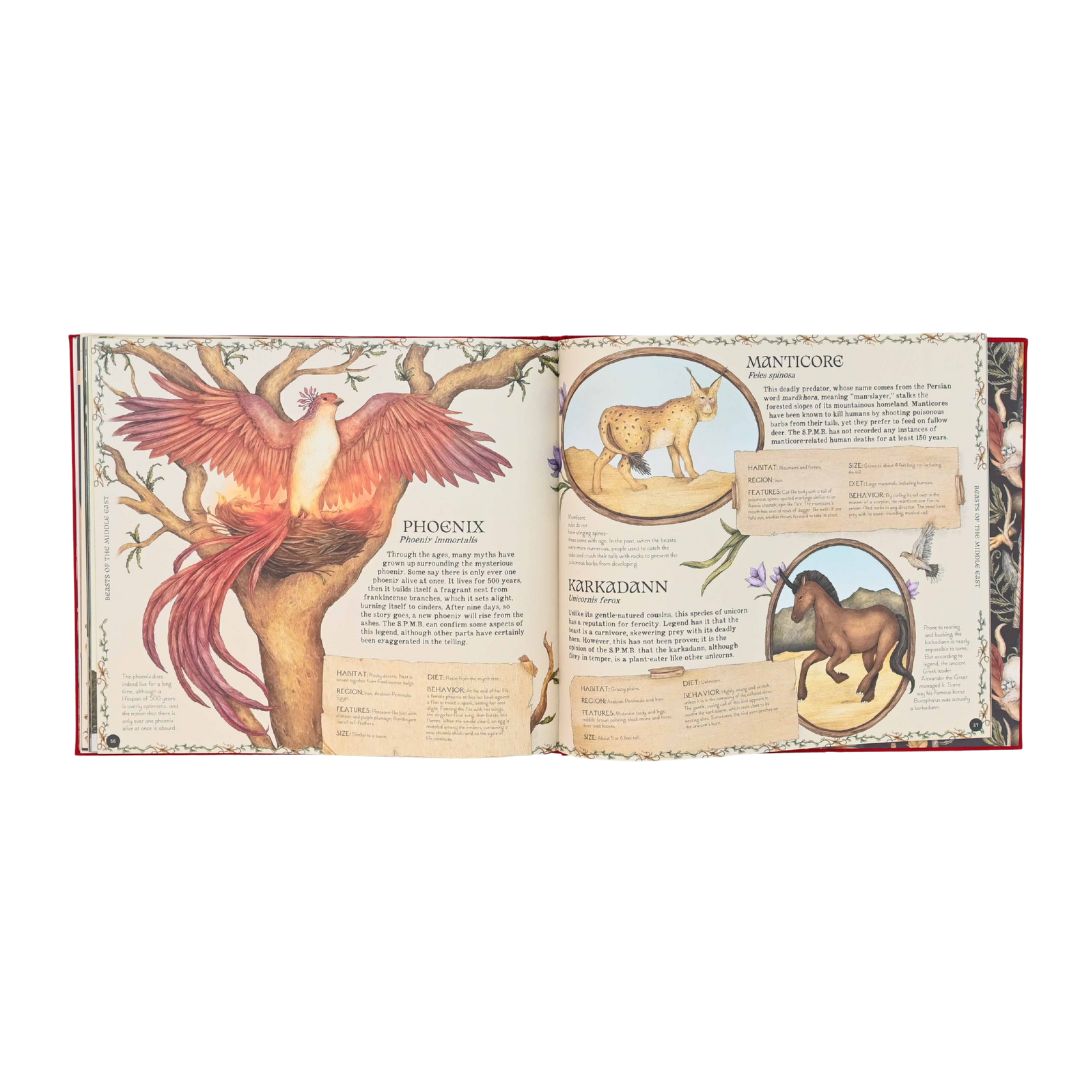 A Natural History of Magical Beasts