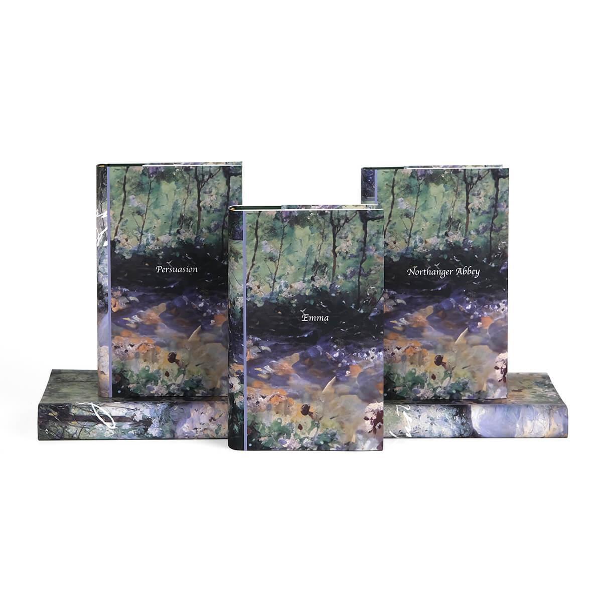 Jane Austen Book Set - Delicious Solitude