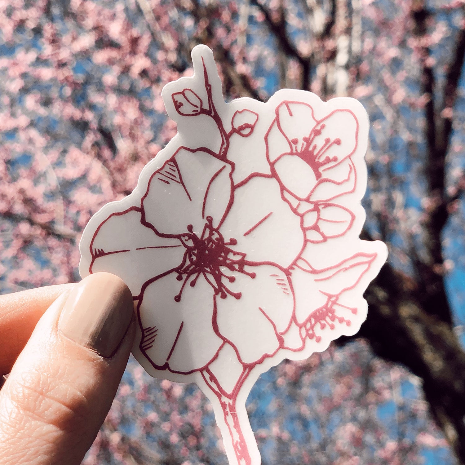 Almond Blossom Clear Sticker